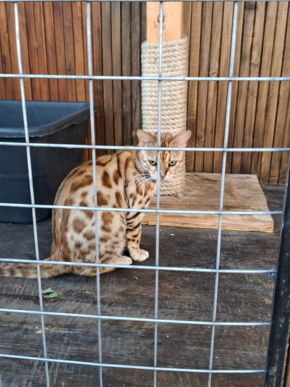 Гостиница Адмирал клуб Заозёрное-111