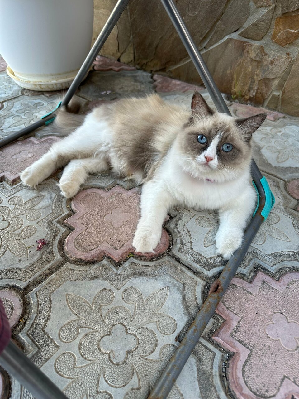 Гостиница Адмирал клуб Заозёрное-108