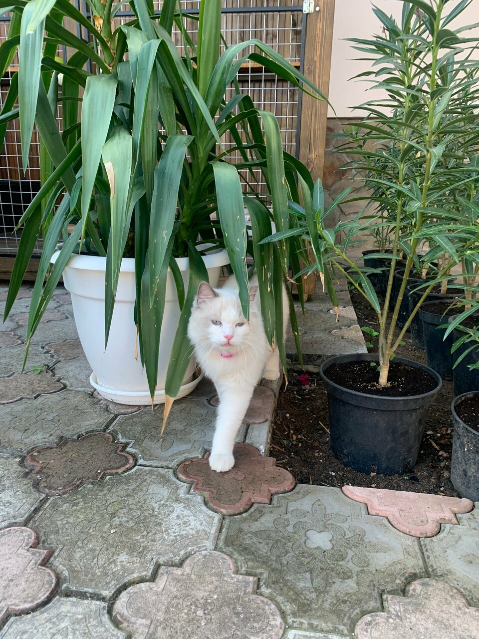 Гостиница Адмирал клуб Заозёрное-21