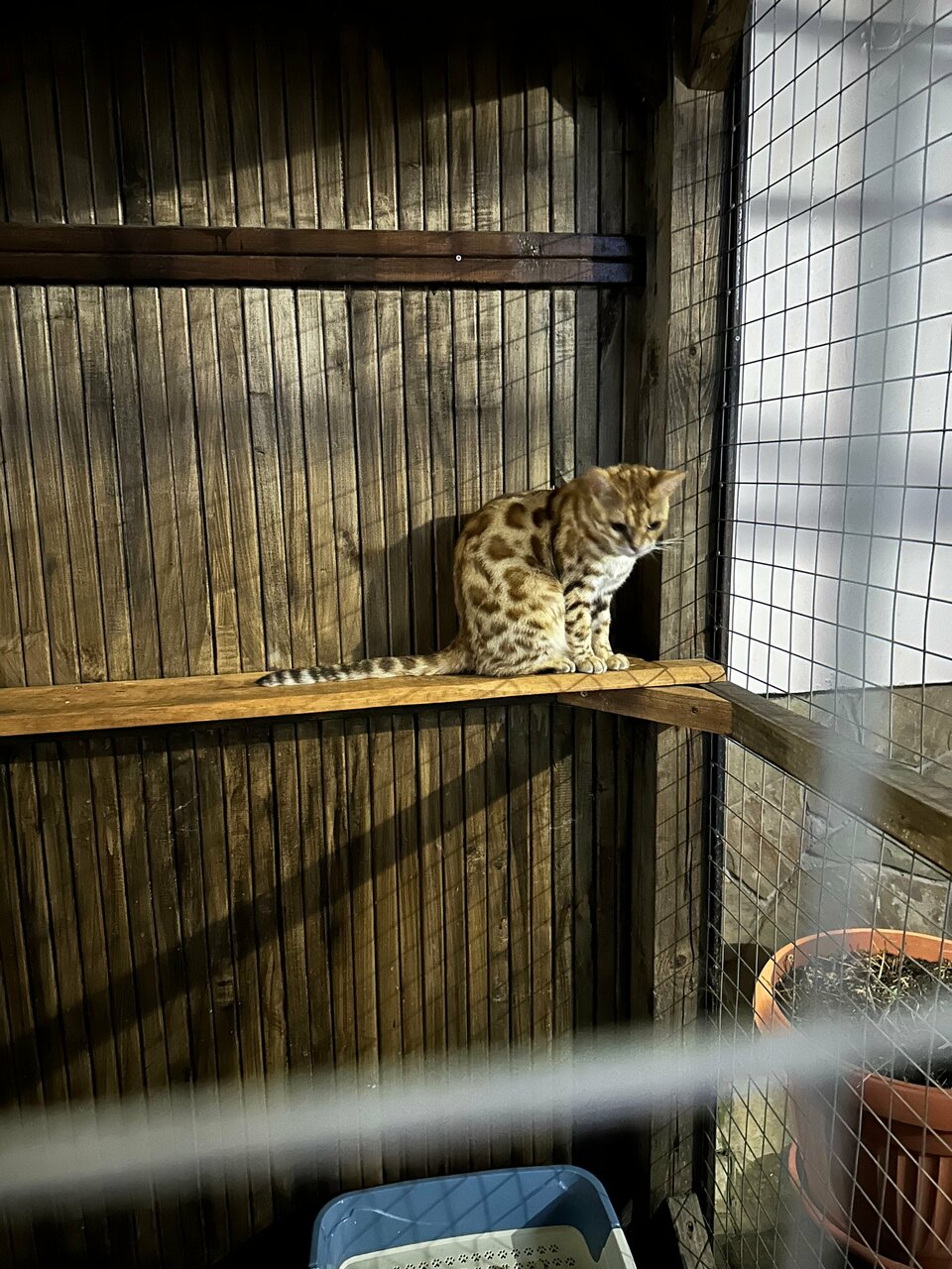 Гостиница Адмирал клуб Заозёрное-98