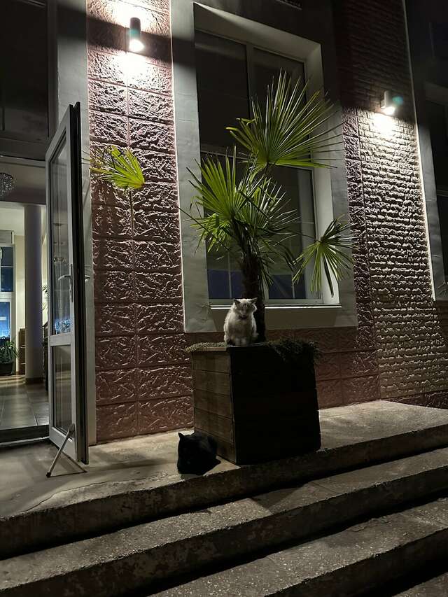 Гостиница Адмирал клуб Заозёрное-109