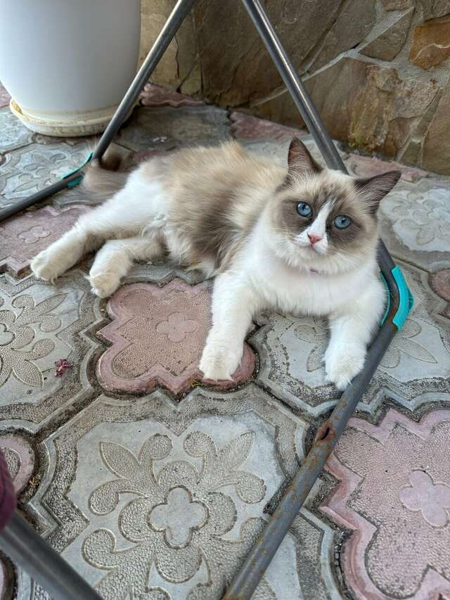 Гостиница Адмирал клуб Заозёрное-107