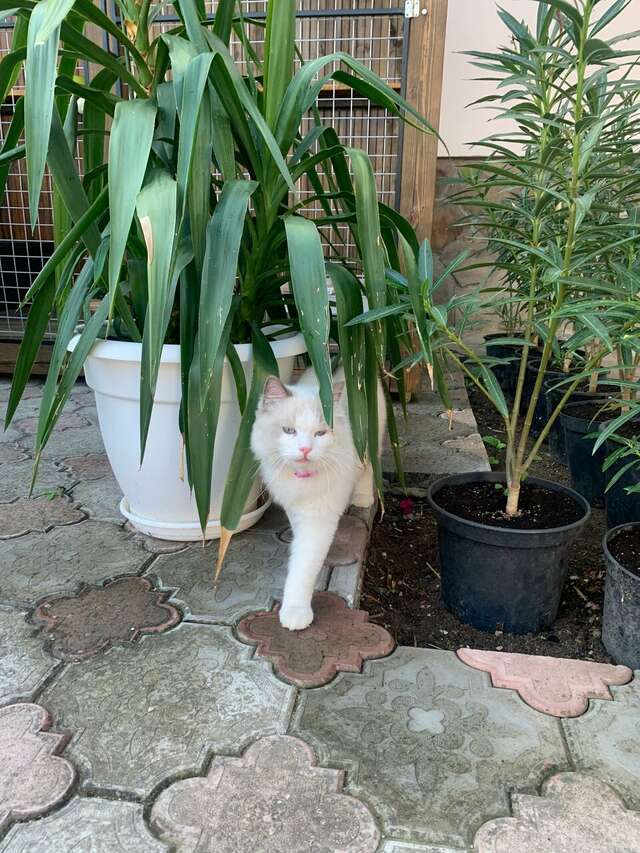 Гостиница Адмирал клуб Заозёрное-20